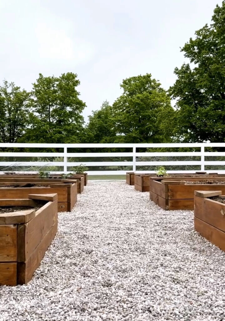 Vegetable Garden Plan & Sowing Early In The Greenhouse